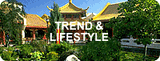 Trend & Lifestyle